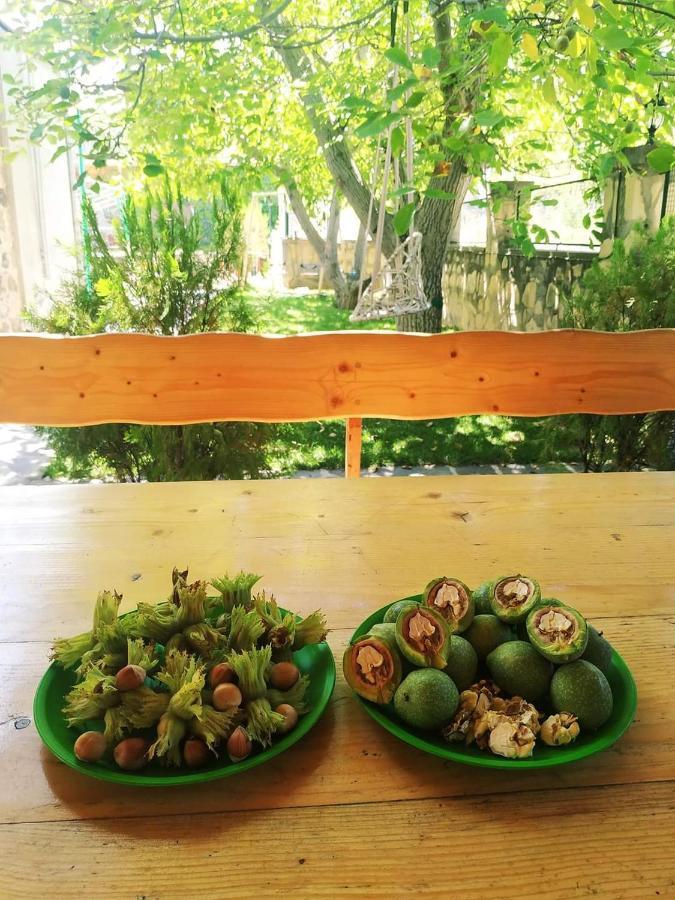 Yeghegnadzor Guest House Nataly מראה חיצוני תמונה